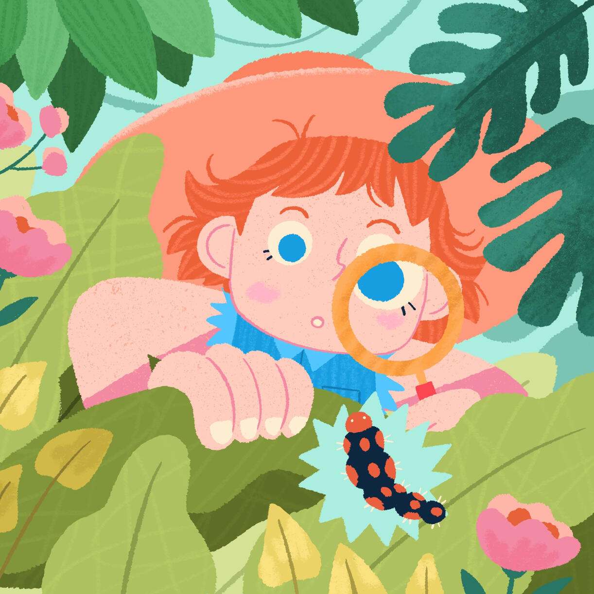 Discovery!